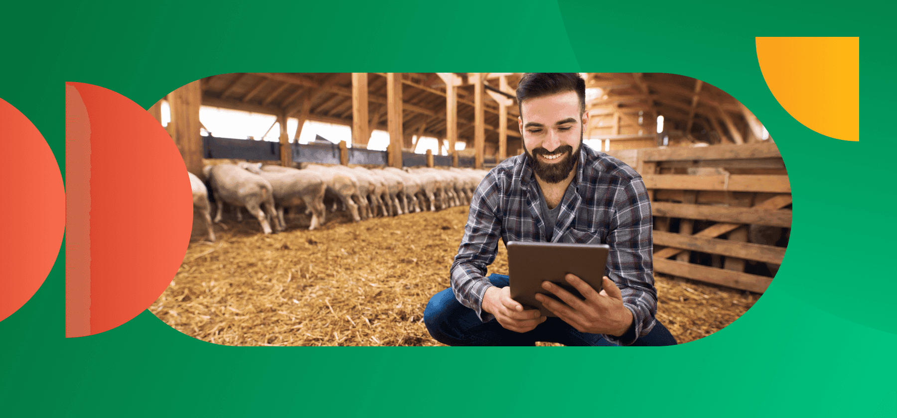 Imagem representativa